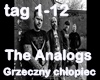 The Analogs-Grzeczny ..