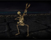 Skeleton1