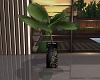 Potted Palm Tree Plant