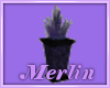 PurpleBlac plant /vase
