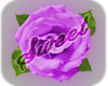  Stand Dot Purple Rose