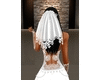 bridal Veil-marcy