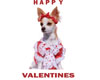 Happy Valentines Dog