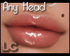 LC Any Head Lip Gloss v6