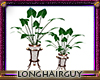 wht wicker potted plants