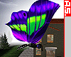 [AS1] MF-Butterfly