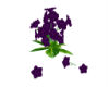 VioletTrumpet Flower