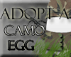 Adopt a Camo Egg!