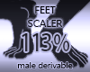 Foot Scaler Resizer 113%