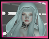 [L] Beanie Bunny 4