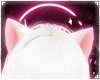 [Anim] Fox Ears [3]