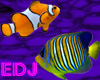 EDJ Fish Enhancer 2