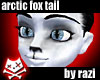 Arctic Fox Winter Tail