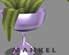 Plant Vase Purple