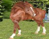 Animated Poseless Horse