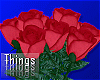 Roses Bouquet R