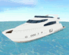 !M! Luxury Yacht