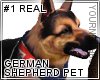 German Shepherd Enhanced
