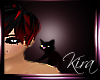 ~Jinx the black kitty~