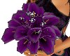 !Rae Lily Flowers Purple
