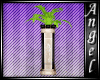 L$A Pallid Tall Plant