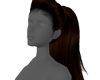 *ChocolateLong Ponytail