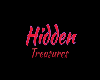 hidden treasure banner