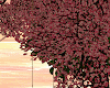 Romantic Tree Swing
