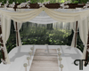 🤍P Wedding Canopy