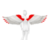 Red/White Wings