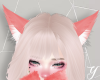 Y| Fox Ears Red