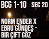 NormXEbru Bir Cift Goz