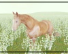 Daisy Horse