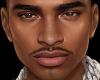 Javier Mesh Head V2