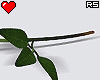 Rose Ear