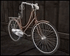 Backyard Bike