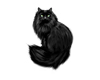 Cat Black Goth