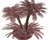 Potted Palm 4