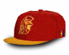 TI$A Snapback (USC)