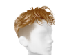 *B* DC Blonde