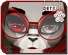 [Pets] Fai | glasses v1