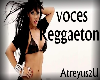 voces reggaeton vol3