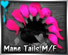 D~Mane Tails: Pink