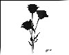 Black Rose Animated
