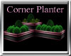 Corner Planter P&B