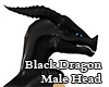 Black Dragon Male