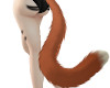 Ginger Cat Tail 2