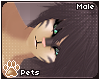 [Pets] Toxi | hair v5