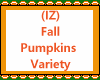 Fall Pumpkins Variety