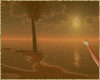 palm beach sunset